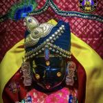 Dr vijay Timbadiya